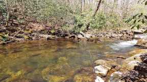 Backcountry hike to this STUNNING STREAM for Native Brook Trout!