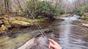 Use this FREE Online Mapping Tool to find trout streams!