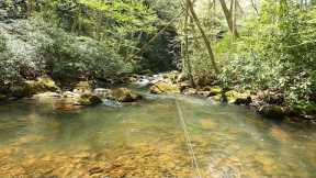 Easy to access, super public and full of trout - how fly fishing was before HOT SPOTTING!