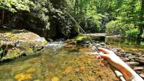How is it possible that a stream like this and its wild trout receive so little attention!