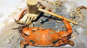 BLUE CRABS!!! How to catch crabs - How to cook and eat crabs