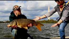 35 Fishing Fails, Bloopers and Funny Fishing Videos from the Catfish & Carp