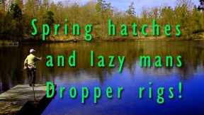 How to make a dropper rig easy! And  b.t.w.what is hatching right now?
