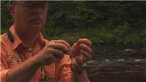 Fly Fishing Equipment & Tips : How to Rig a Fly Line