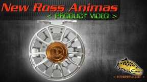 New 2019 Ross Animas Fly Reel Video