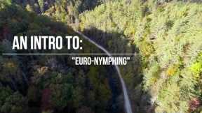 Basics of euro nymphing - Stocker bashing