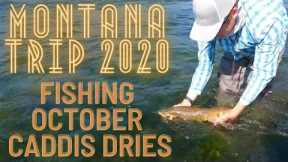 Catching October Caddis Eating Browns on the Missouri River w/ Mark Raisler - MT 2020 Trip Part 2