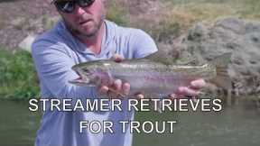 Streamer Retrieves | North Platte River WY