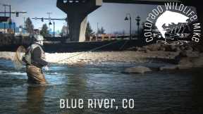 Blue River Fly Fishing