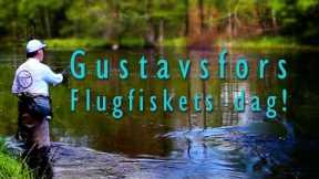 Gustavsfors FVO, a trout paradise!
