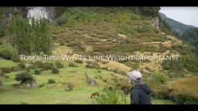 What Is Line Weight And Why Is It Important?