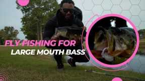 This Caught me off Guard while Fishing! Here's what HAPPENED!! Fly fishing for large mouth BASS!