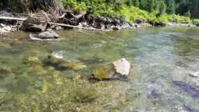 Essential Tip for Dry Fly Fishing Downstream