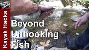Review How to Use Fly Fishing Forceps or Pliers