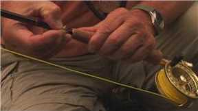 Fly Fishing Tips : How to Catch Rainbow Fish