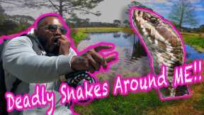 Surviving Deadly Snakes While Catching MONSTER Bass in Florida