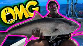 UNBELIEVABLE!! Epic BATTLE with Amberjack on the Fly bRod! | My Biggest Catch EVER!!!