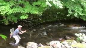 Fly Fishing the Doe River at Roan Mountain State Park