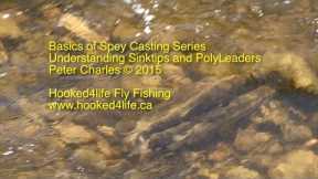 Basics of Spey Casting - Understanding Sinktips and Polyleaders