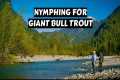 Nymphing for Giant Bull Trout  |