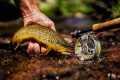 THE ESCAPE: A FLY FISHING FILM (Part
