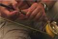 Fly Fishing Tips : How to Catch