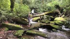 Brook Trout in the Smokies with Trout Zone Anglers