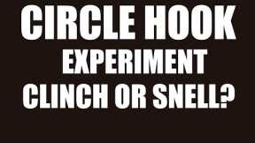 Experiment,  What is The Best Knot For Circle Hooks, Snell or Clinch?