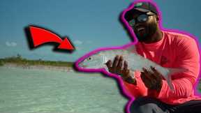 Catching the 10th fastest fish in the world  | 2 days Fishing in the Bahamas