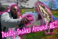 Surviving Deadly Snakes While