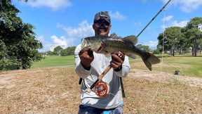 Fly Fishing for Largemouth Bass on an Exclusive Golf Course – Was This Bass Over 8lbs