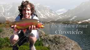 The Golden Trout Chronicles- Fly Fishing for trophy Golden Trout