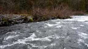 Sandy River, Oregon - Dodge Park to Oxbow Park Float Trip