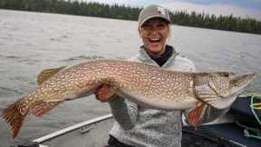 Ultimate Fly-in Fishing Adventure at Kississing Lodge - Manitoba Hot Bite