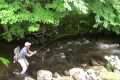 Fly Fishing the Doe River at Roan